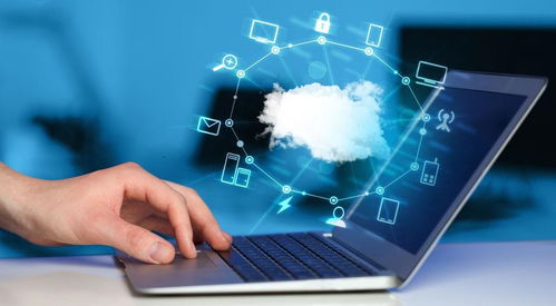 第三方軟件檢測機構(gòu)的服務(wù)流程與選擇策略